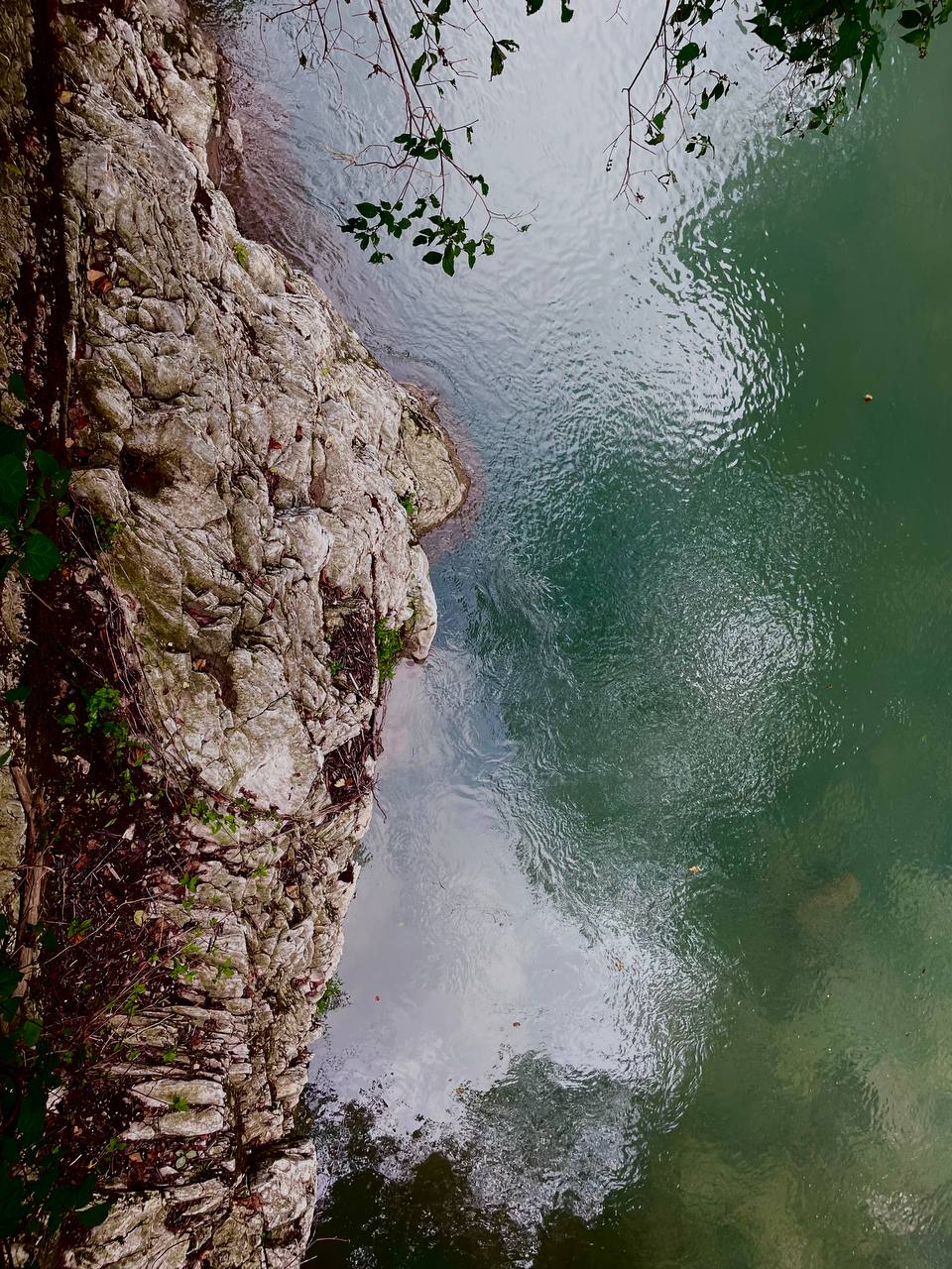 🌳 Моё путешествие в Тисо-самшитовую рощу: как природа исцелила мою душу
Привет, дорогие!🫂
Важная новость: я долго думала над вашим замечанием о том, что в контенте не хватает меня настоящей | Сетка — социальная сеть от hh.ru