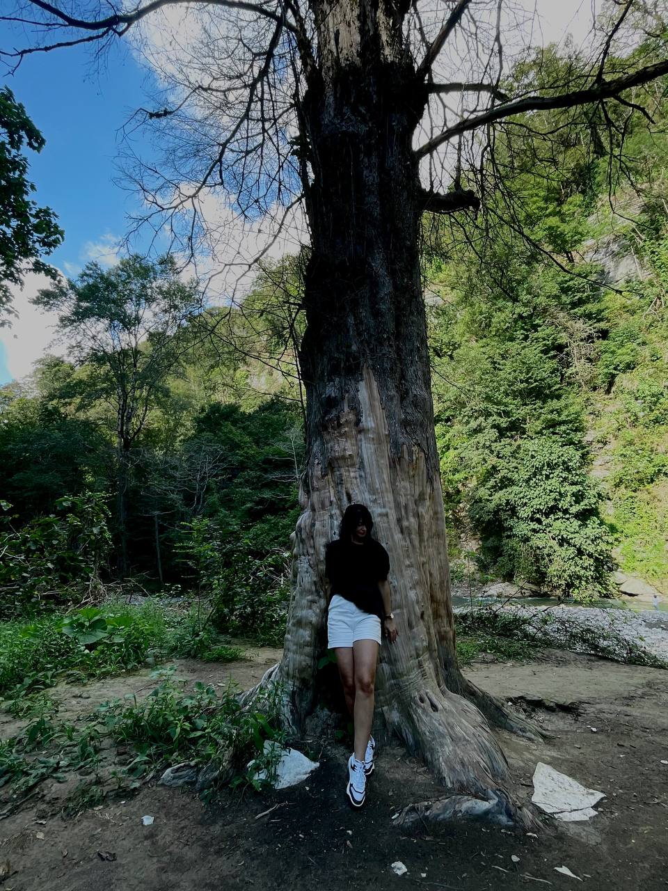 🌳 Моё путешествие в Тисо-самшитовую рощу: как природа исцелила мою душу
Привет, дорогие!🫂
Важная новость: я долго думала над вашим замечанием о том, что в контенте не хватает меня настоящей | Сетка — социальная сеть от hh.ru