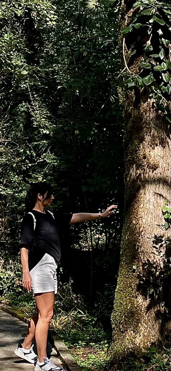 🌳 Моё путешествие в Тисо-самшитовую рощу: как природа исцелила мою душу
Привет, дорогие!🫂
Важная новость: я долго думала над вашим замечанием о том, что в контенте не хватает меня настоящей | Сетка — социальная сеть от hh.ru