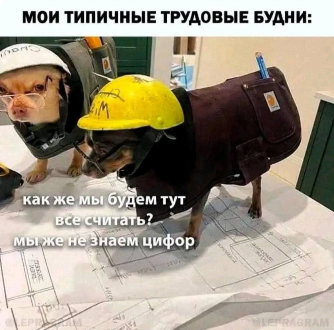 Доброе пятничное #мемчики
Присылайте свои любимые тоже в комментарии)) | Сетка — социальная сеть от hh.ru