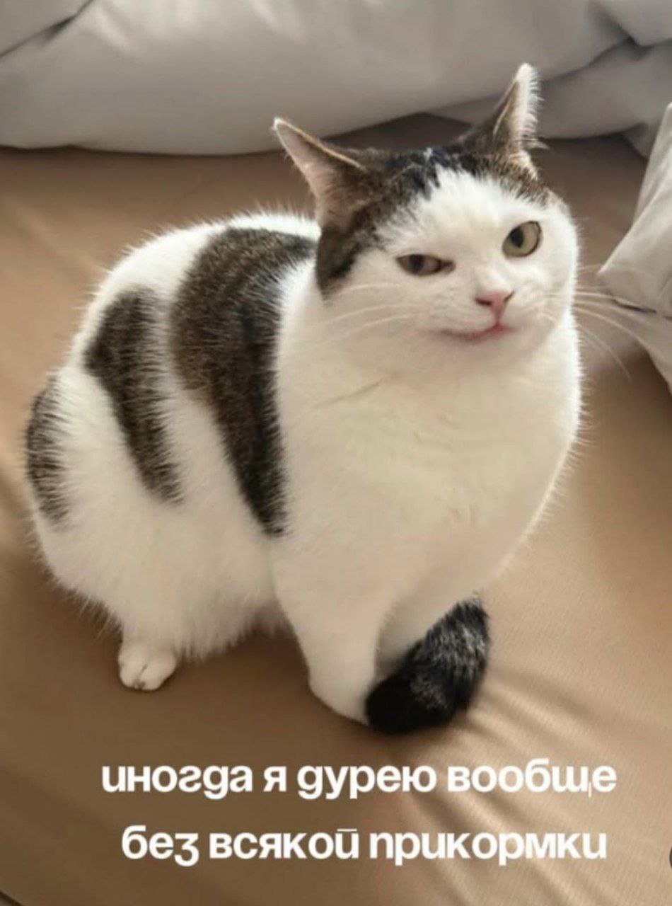 Никто:
Абсолютно никто:
Маркетолог всегда: | Сетка — социальная сеть от hh.ru