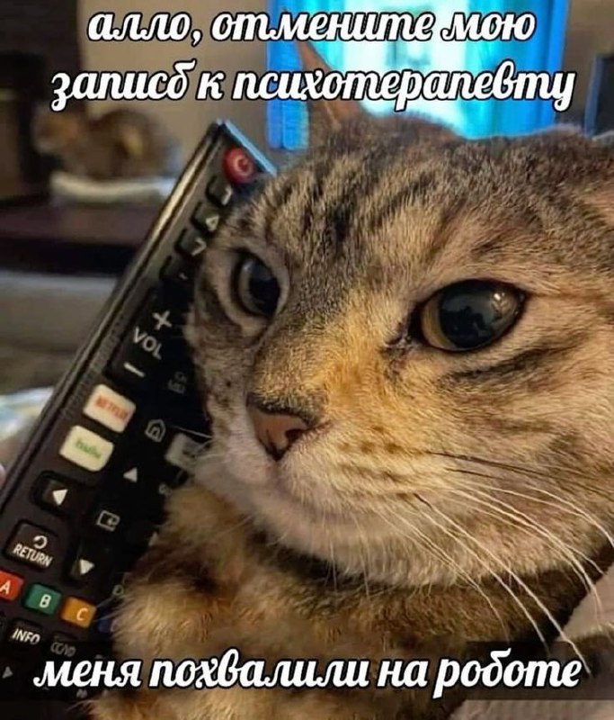 Труженики! 🐝
Будьте осторожны с импульсивными решениями | Сетка — социальная сеть от hh.ru