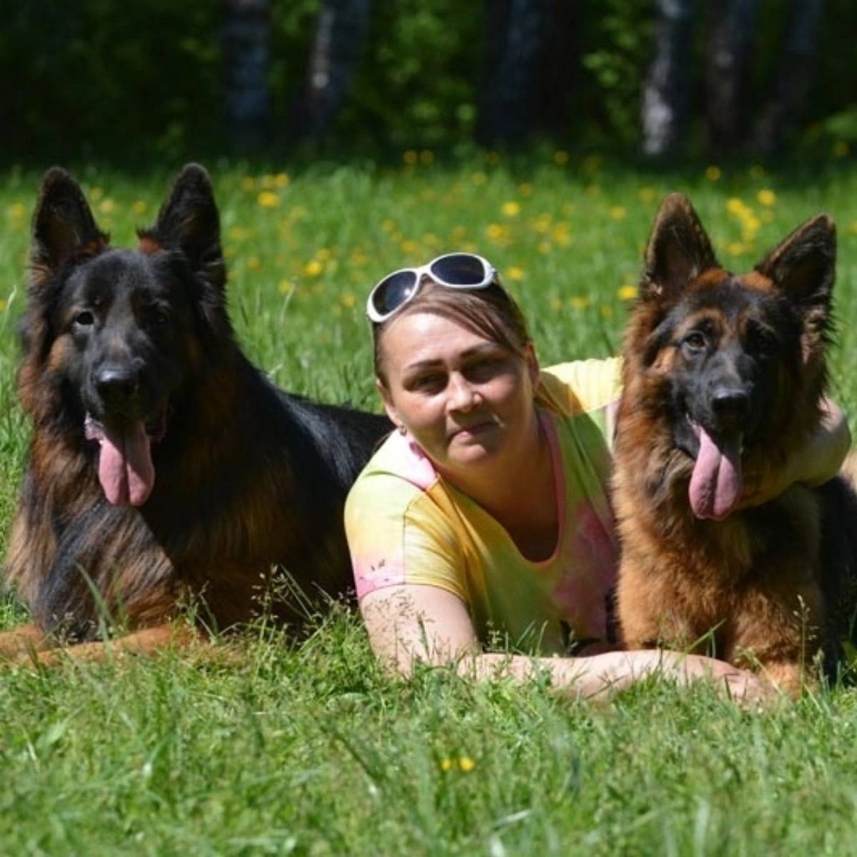 Елена Елена | Сетка — социальная сеть от hh.ru