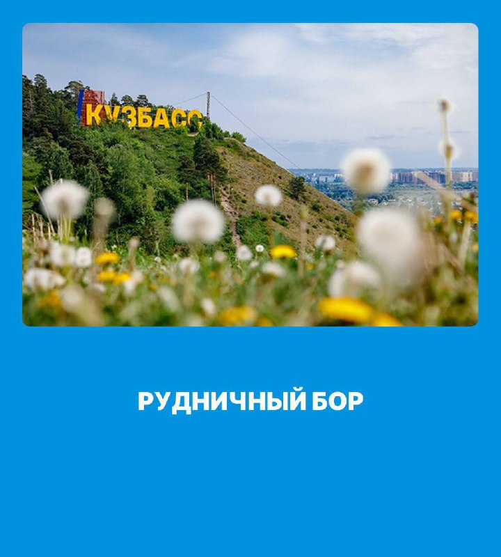 Шуми, шуми, зеленый лес!
Продолжаем рассказывать об удивительных местах России, которые связаны с металлургической деятельностью и регионами присутствия предприятий ПМХ📍
Один из немногих реликтовых ле... | Сетка — социальная сеть от hh.ru