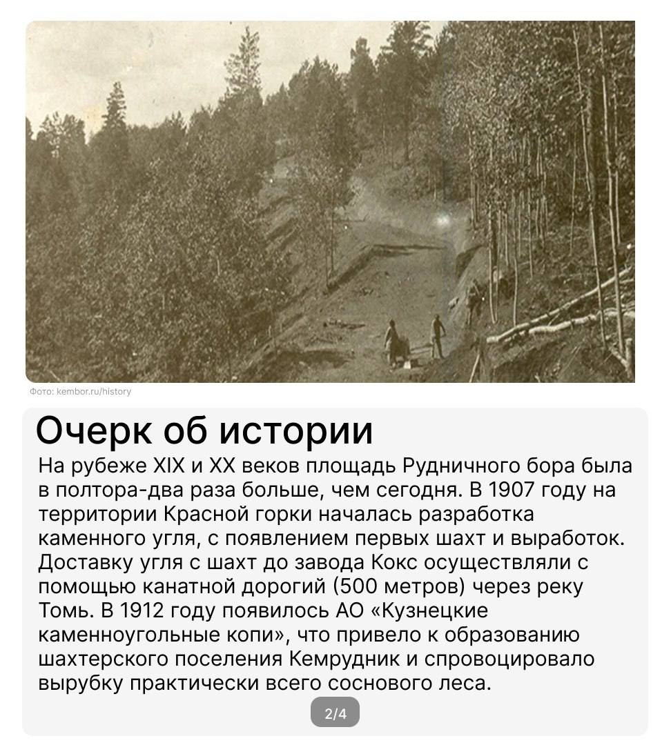 Шуми, шуми, зеленый лес!
Продолжаем рассказывать об удивительных местах России, которые связаны с металлургической деятельностью и регионами присутствия предприятий ПМХ📍
Один из немногих реликтовых ле... | Сетка — социальная сеть от hh.ru