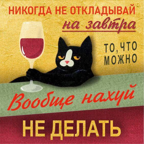 Пятничное напутствие | Сетка — социальная сеть от hh.ru