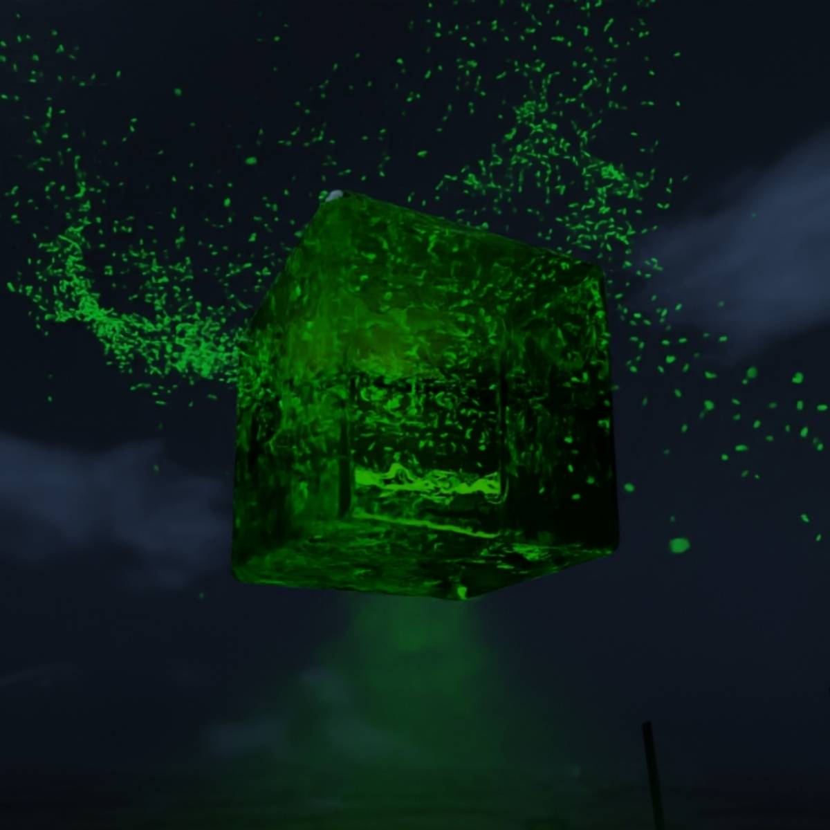 Артём Веремеенко | Сетка — социальная сеть от hh.ru