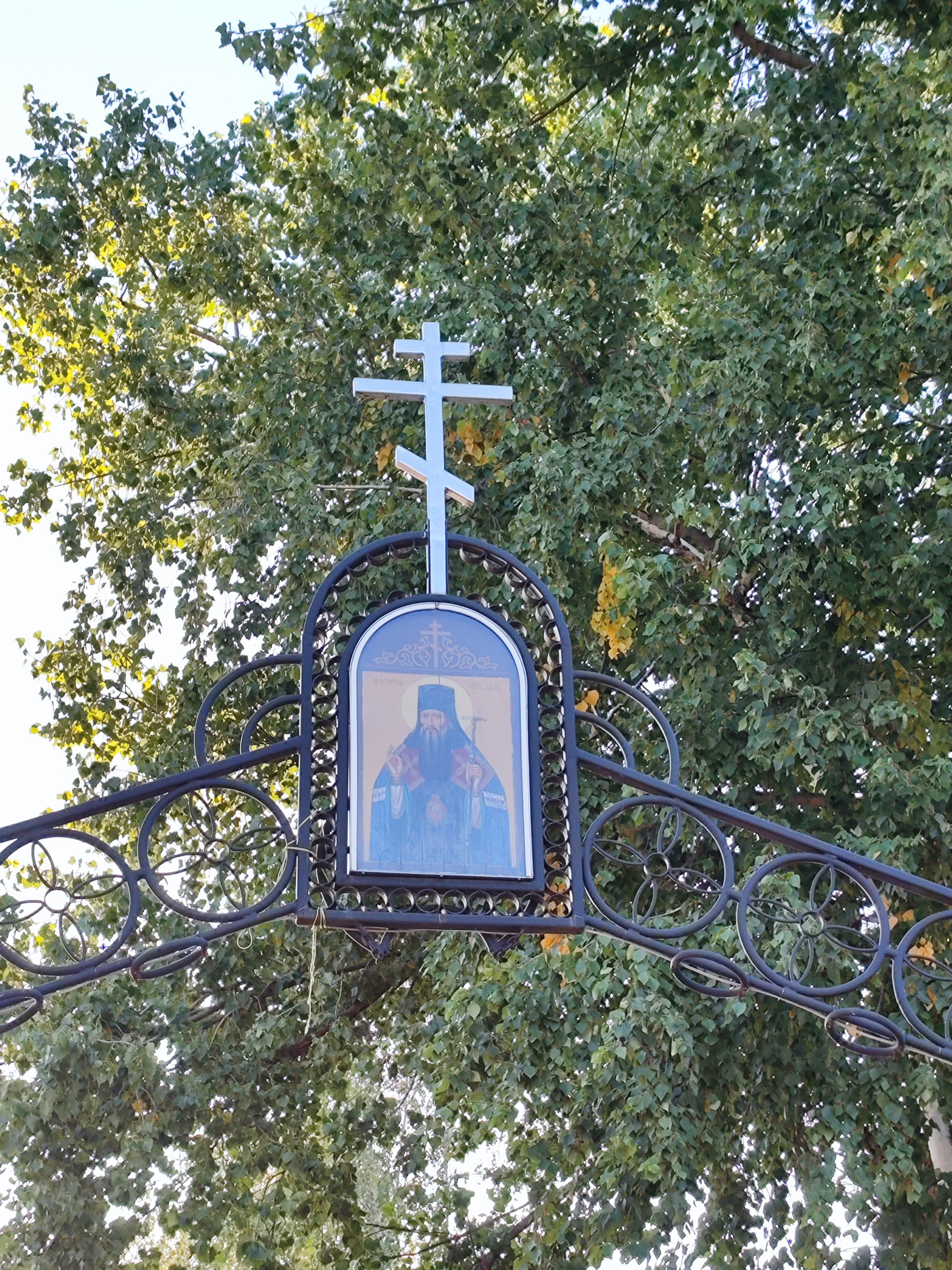 Сегодняшний день вкратце. Путешествие по Тамбову осеннему 🍂 | Сетка — социальная сеть от hh.ru