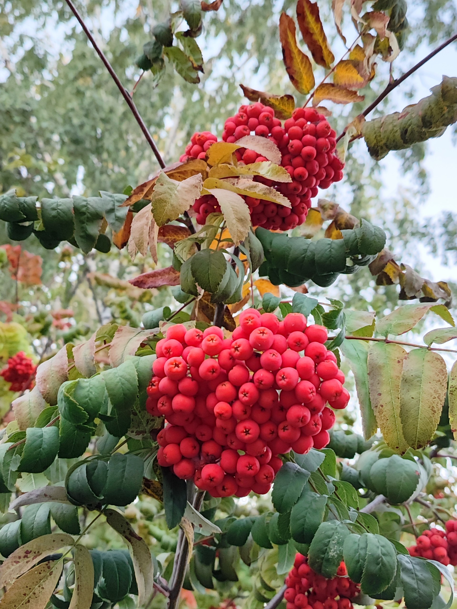 Сегодняшний день вкратце. Путешествие по Тамбову осеннему 🍂 | Сетка — социальная сеть от hh.ru