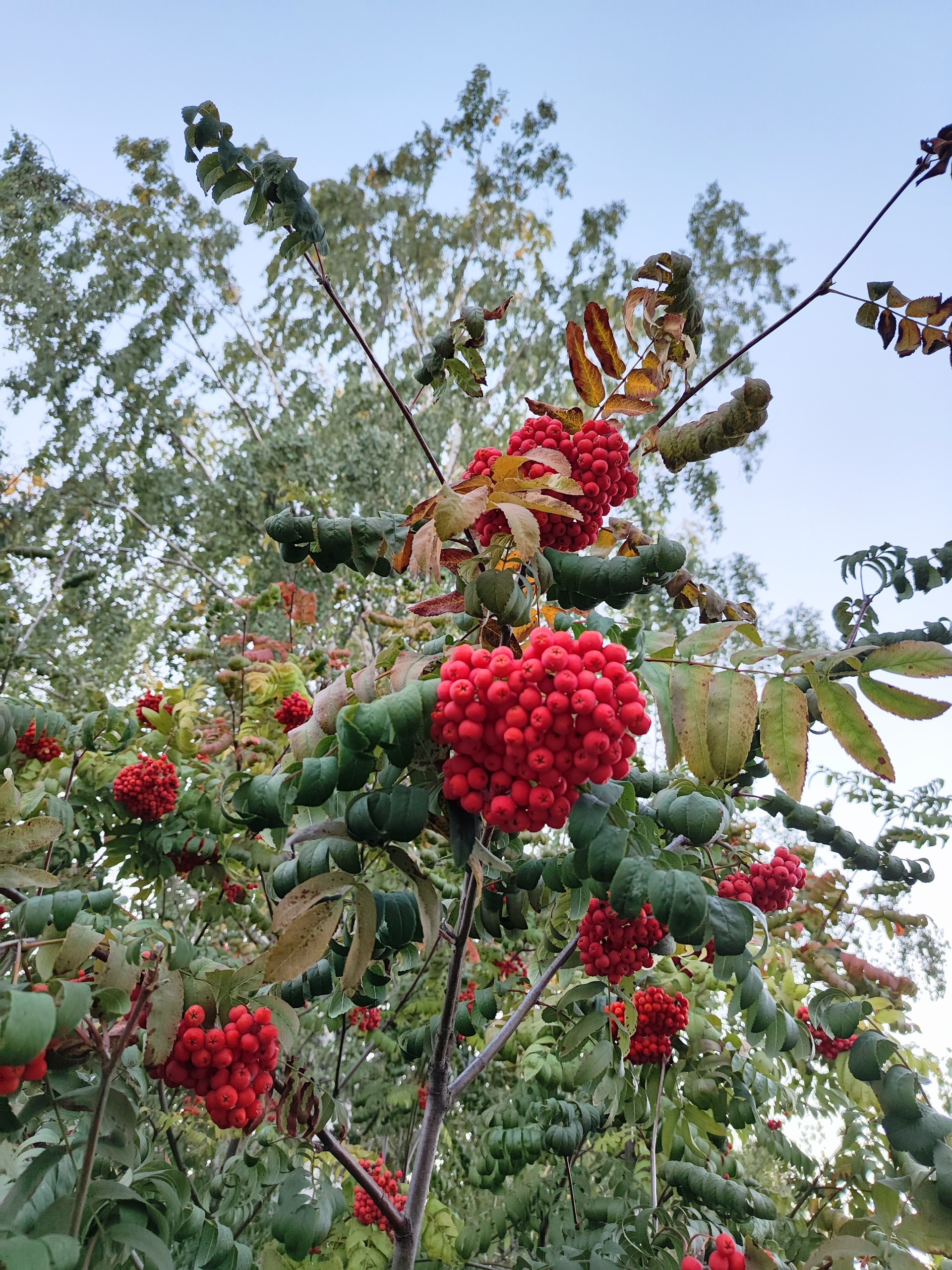 Сегодняшний день вкратце. Путешествие по Тамбову осеннему 🍂 | Сетка — социальная сеть от hh.ru