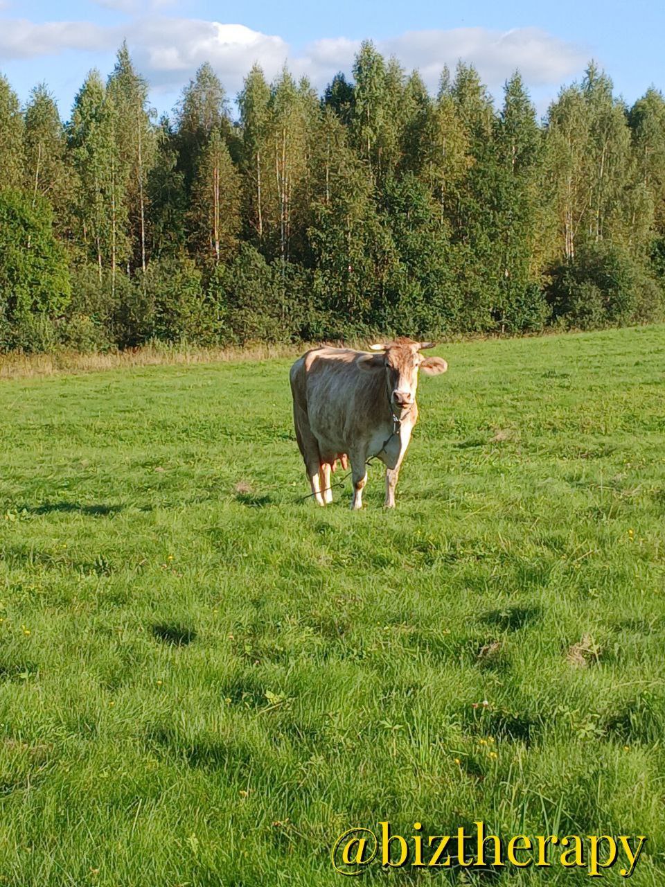 Хейтеры — мотор нашего роста! Заводим мотор! 🚀  
Друзья, а особенно наши недруги, у нас для вас важное и приятное сообщение!
Мы решили официально поблагодарить всех хейтеров за их титанический труд и ... | Сетка — социальная сеть от hh.ru
