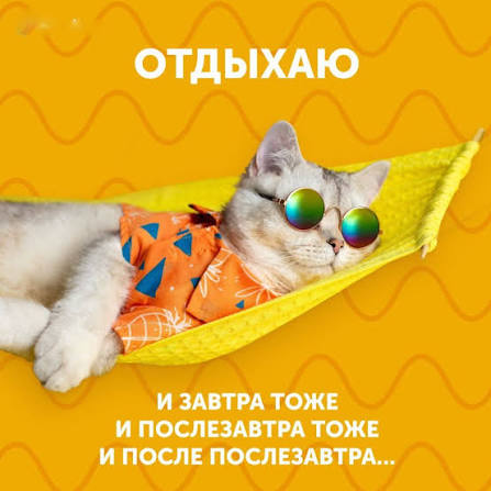 Отпуск - день 2 из 14 | Сетка — социальная сеть от hh.ru