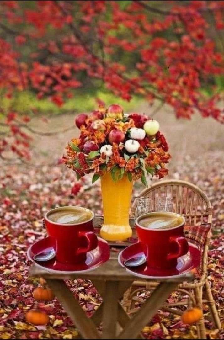 Доброго, теплого осеннего денечка, дорогие мои🍁🍁🍁! | Сетка — социальная сеть от hh.ru