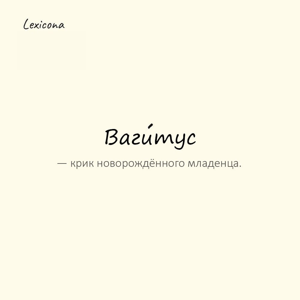 Вагитус — крик новорождённого младенца 👶
Пример употребления:
Тишину родильного отделения нарушил первый пронзительный вагитус | Сетка — социальная сеть от hh.ru