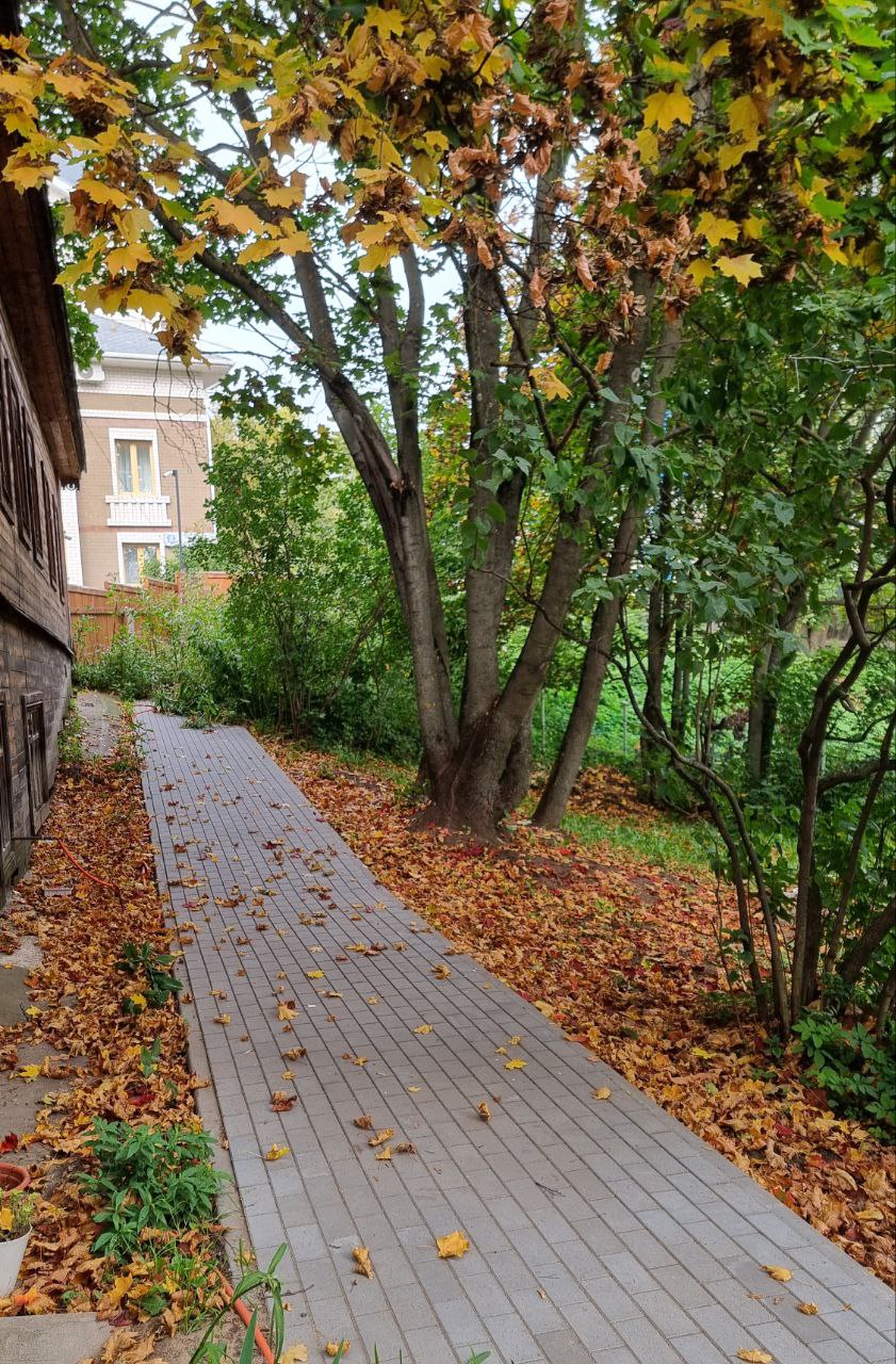 Наступил сентябрь. У Софи начались занятия живописью в усадьбе Хохрякова. А я занял свое традиционное утреннее субботнее место в #беседкахохрякова.
Сегодня день программиста | Сетка — социальная сеть от hh.ru