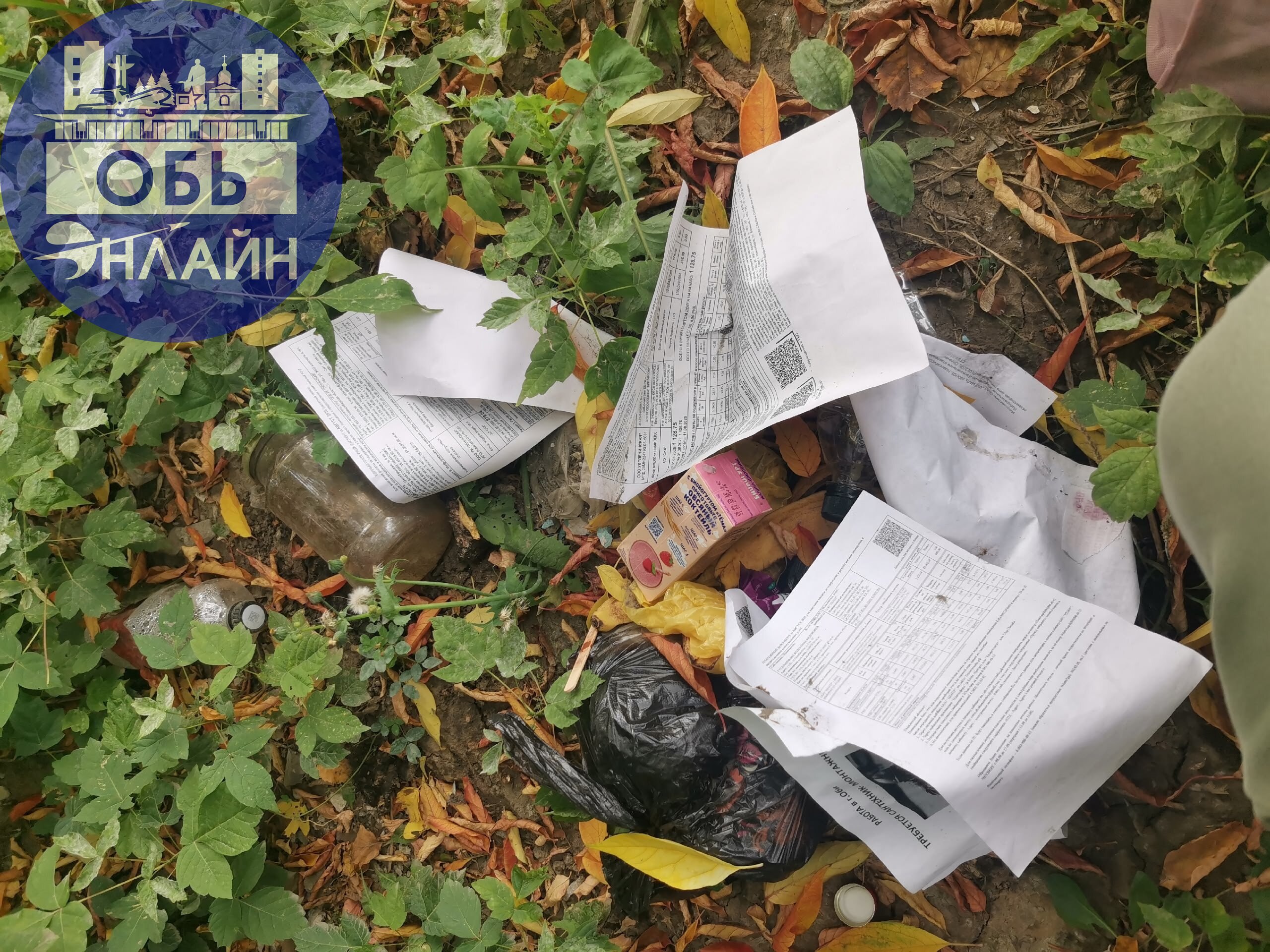 ↗ Какая свинота из 6 дома вечно не может донести мусор до помойки и оставляет мешки за озоном? Отзовись! В следующий раз отнесу вашу помойку обратно к вам в квартиру | Сетка — социальная сеть от hh.ru