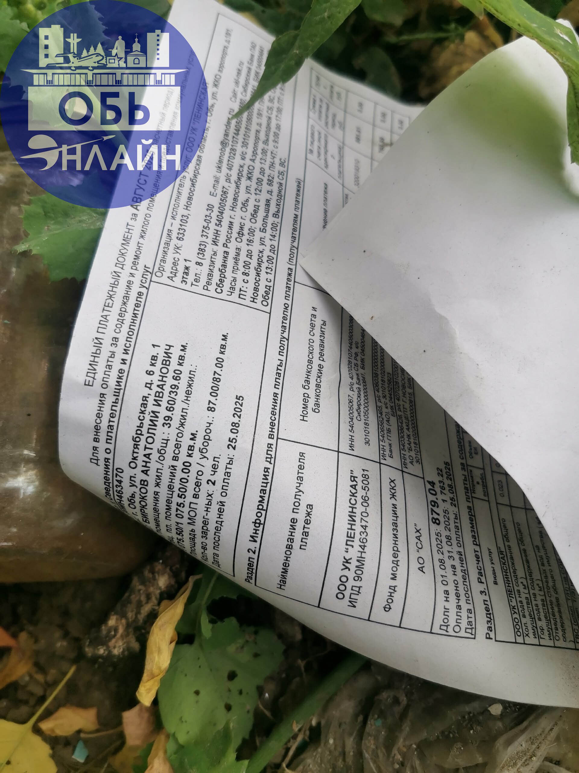 ↗ Какая свинота из 6 дома вечно не может донести мусор до помойки и оставляет мешки за озоном? Отзовись! В следующий раз отнесу вашу помойку обратно к вам в квартиру | Сетка — социальная сеть от hh.ru