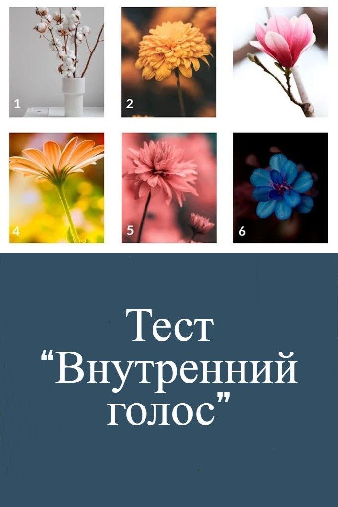 Сегодня суббота, а это значит тест.
Долго не думая, посмотрите на картинку и выберите то, что вам понравилось больше всего.
Пишите в комментариях свой вариант ответа. | Сетка — социальная сеть от hh.ru