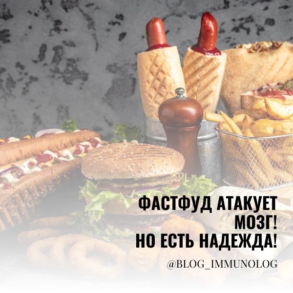 🍔🍟😱 ФАСТФУД АТАКУЕТ МОЗГ! Но есть надежда! 🧠💪
Шок-контент от ученых Университета Северной Каролины: любители бургеров и картошки фри, внимание! 🚨 Исследования показали, что жирная пища может серьезно ... | Сетка — социальная сеть от hh.ru