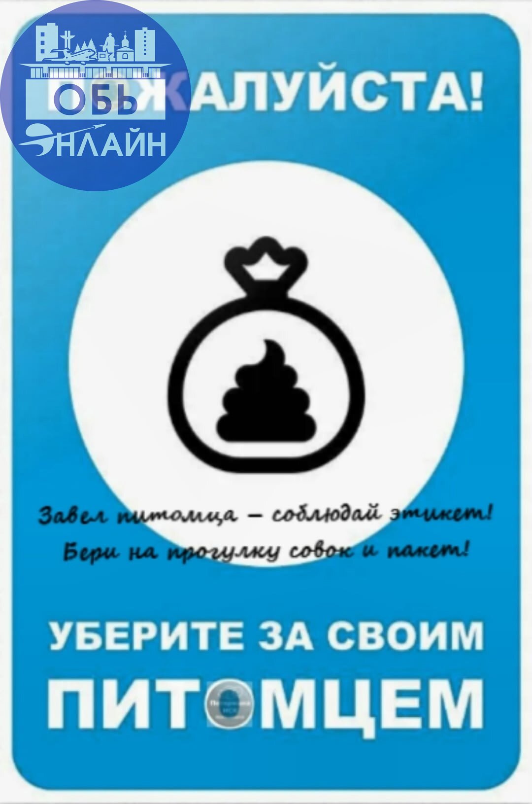 ↗ Уважаемые соседи в геодезии выгуливающие своих питомцев у чужих заборов большая просьба убирать за ними. Ни одного из вас не видел с пакетиком идущим до мусорки. Чисто там где не гадят себе под ноги | Сетка — социальная сеть от hh.ru