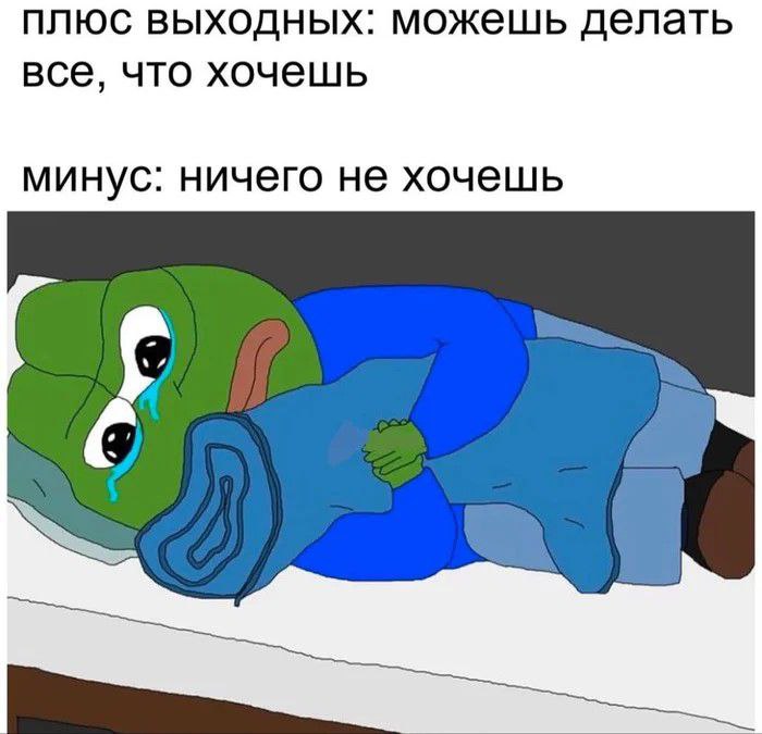 Карент муд
Интроверты, а как вы отходите от тусовок?
P.S. Программистов с праздником, остальным успехов | Сетка — социальная сеть от hh.ru