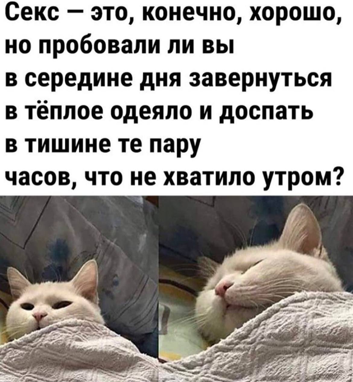 День 13
🔤 занималась французским
🔤 занималась спортом
🔤 слушала лекцию про Фредди и Queen
🔤 нашла место, где тусуются взрослые любители музыки
🔤 готовила дома | Сетка — социальная сеть от hh.ru