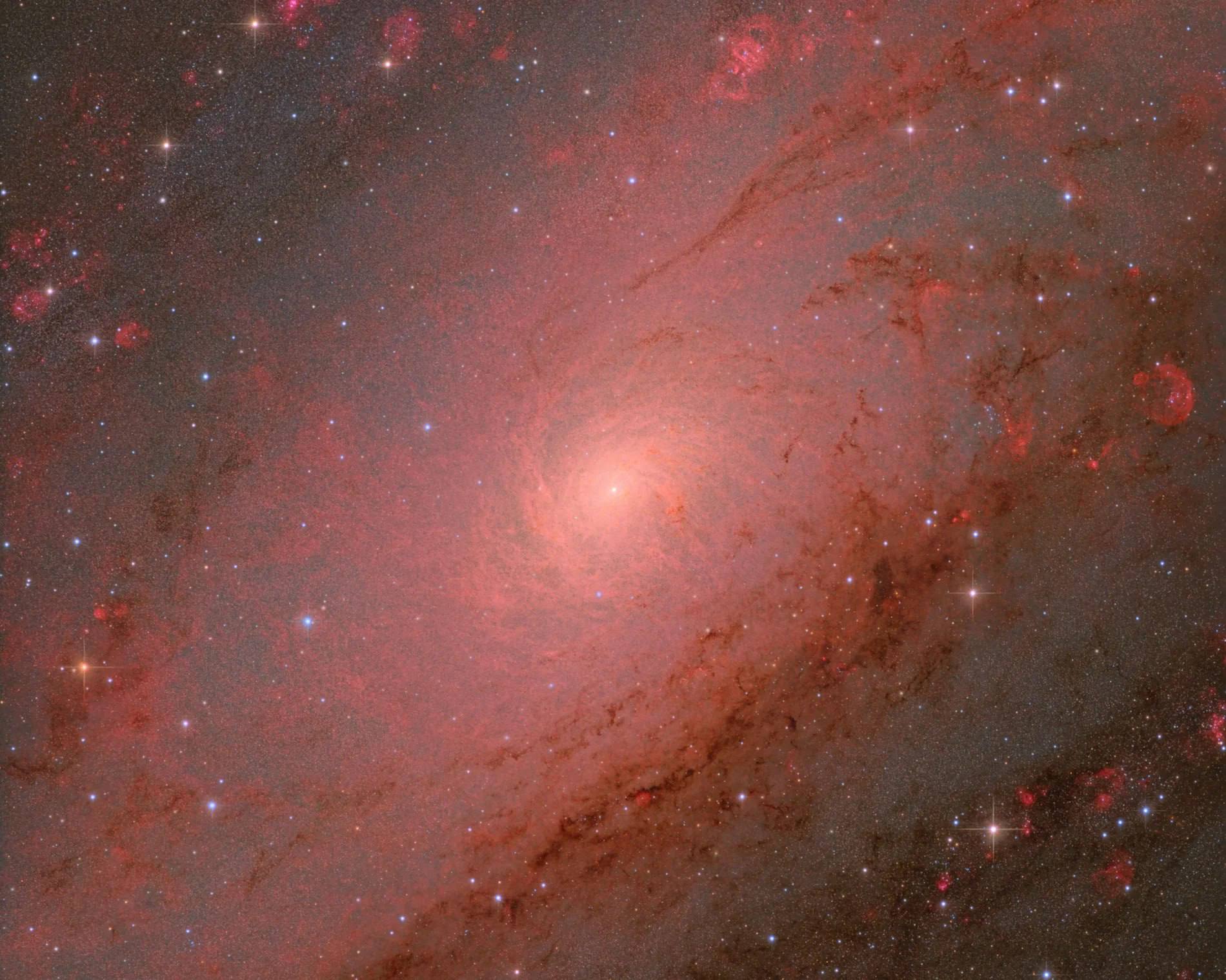 Лучшие астрофотографии 2025 по версии Королевской обсерватории Гринвича
В 2025 году на конкурсе ZWO Astronomy Photographer of the Year главный приз получил снимок центра галактики Андромеды, сделанный... | Сетка — социальная сеть от hh.ru