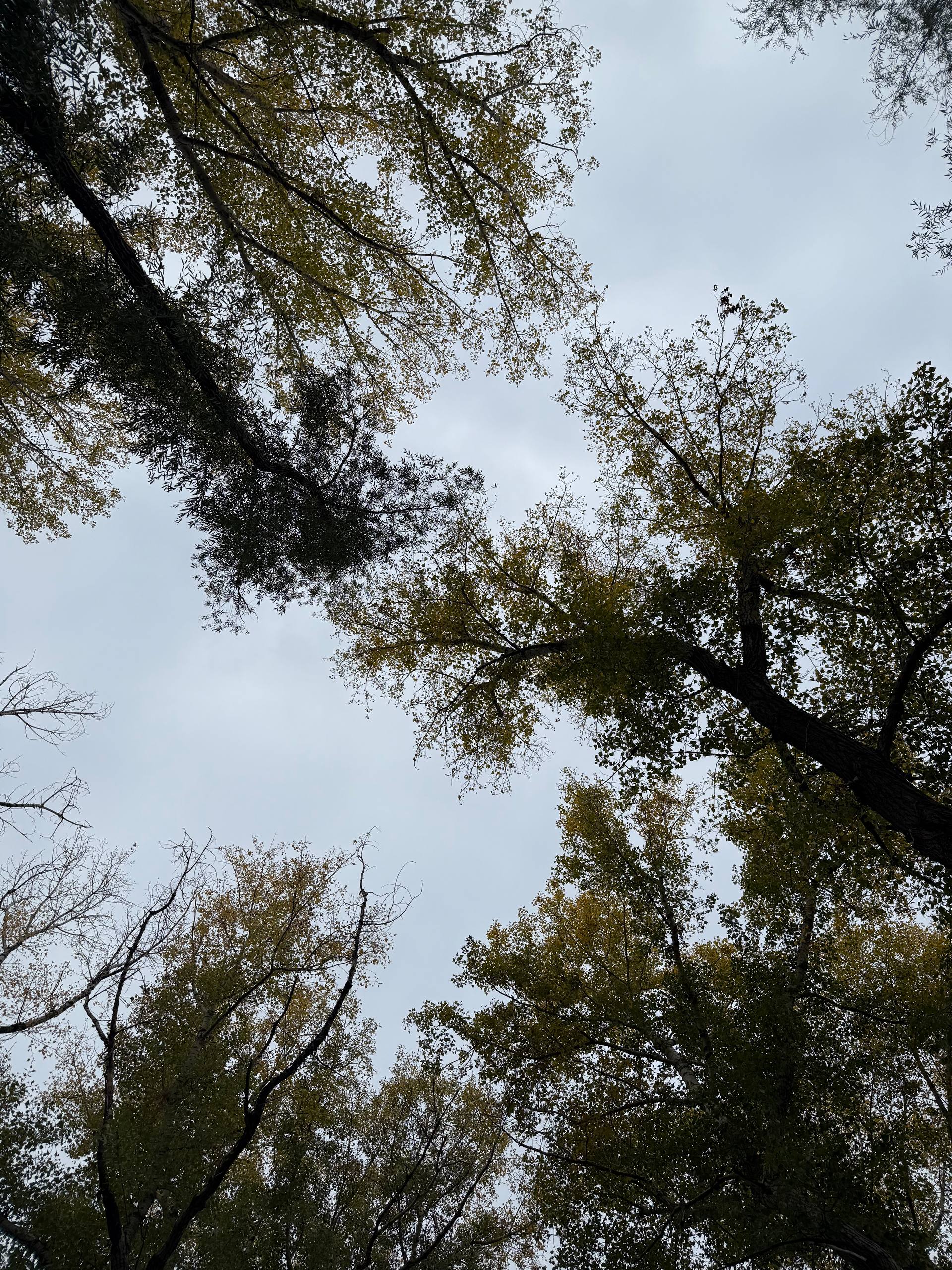 Осень 🍂 | Сетка — социальная сеть от hh.ru