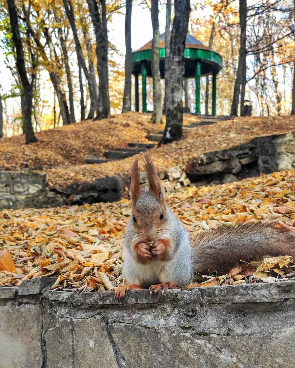 🍂 Осенний Ставрополь
📸 777prostoirina777 | Сетка — социальная сеть от hh.ru