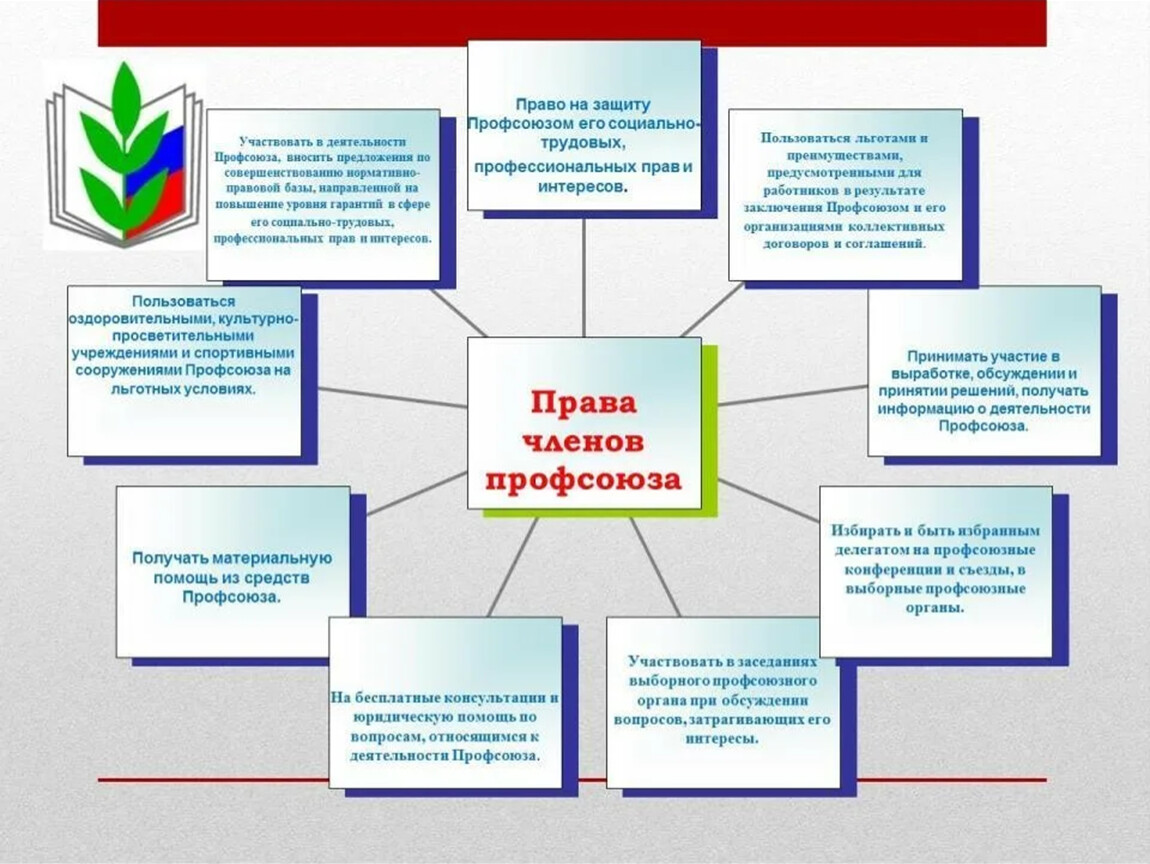 Профсоюз для настоящих мастеров: от сборки мебели до электромонтажа | Сетка — социальная сеть от hh.ru