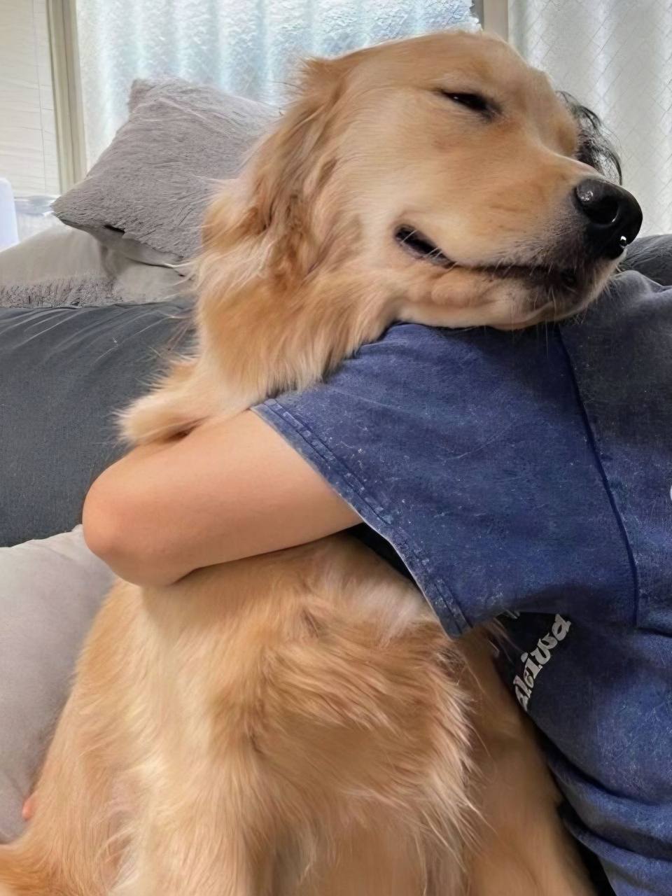 🐶День «Обнимите свою собаку» отмечается сегодня
Порадуйте хвостатых❤️
📲Подпишитесь на Вдвижении
В этом посте были ссылки, но мы их удалили по правилам Сетки | Сетка — социальная сеть от hh.ru