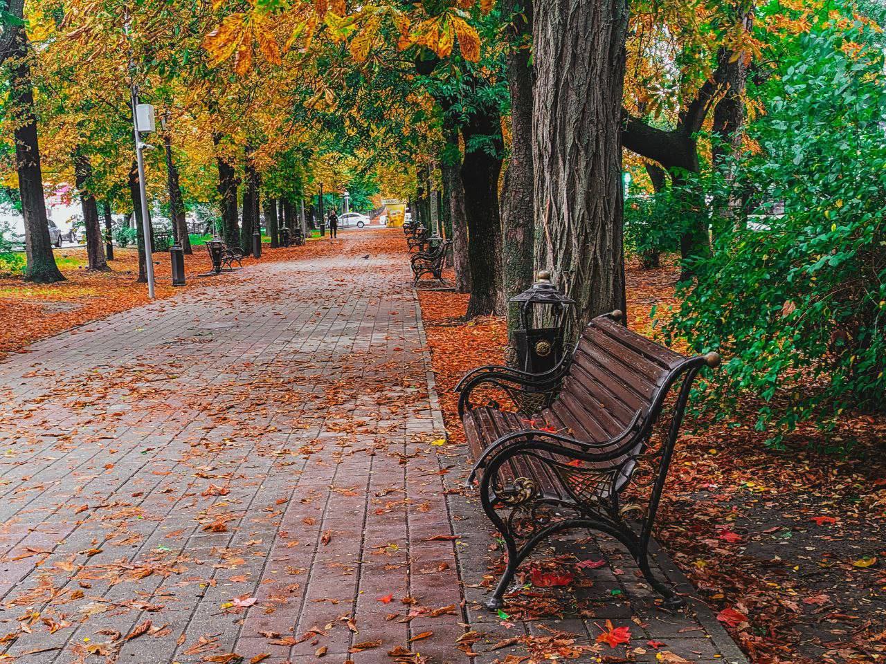Осень пришла в Ставрополь🍂🍁
📍 проспект Карла Маркса
📸 artphoto26rus | Сетка — социальная сеть от hh.ru