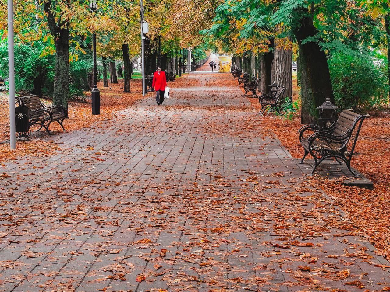 Осень пришла в Ставрополь🍂🍁
📍 проспект Карла Маркса
📸 artphoto26rus | Сетка — социальная сеть от hh.ru