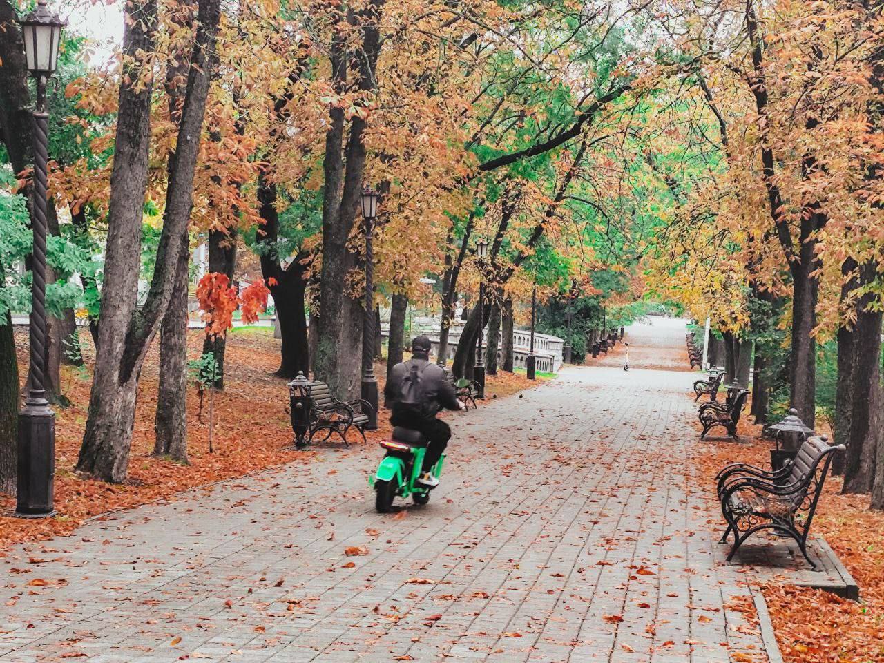 Осень пришла в Ставрополь🍂🍁
📍 проспект Карла Маркса
📸 artphoto26rus | Сетка — социальная сеть от hh.ru