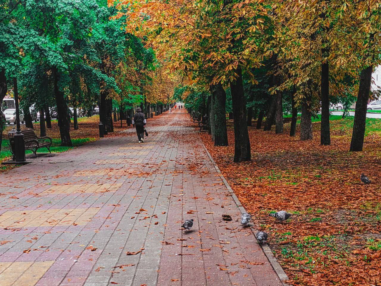 Осень пришла в Ставрополь🍂🍁
📍 проспект Карла Маркса
📸 artphoto26rus | Сетка — социальная сеть от hh.ru
