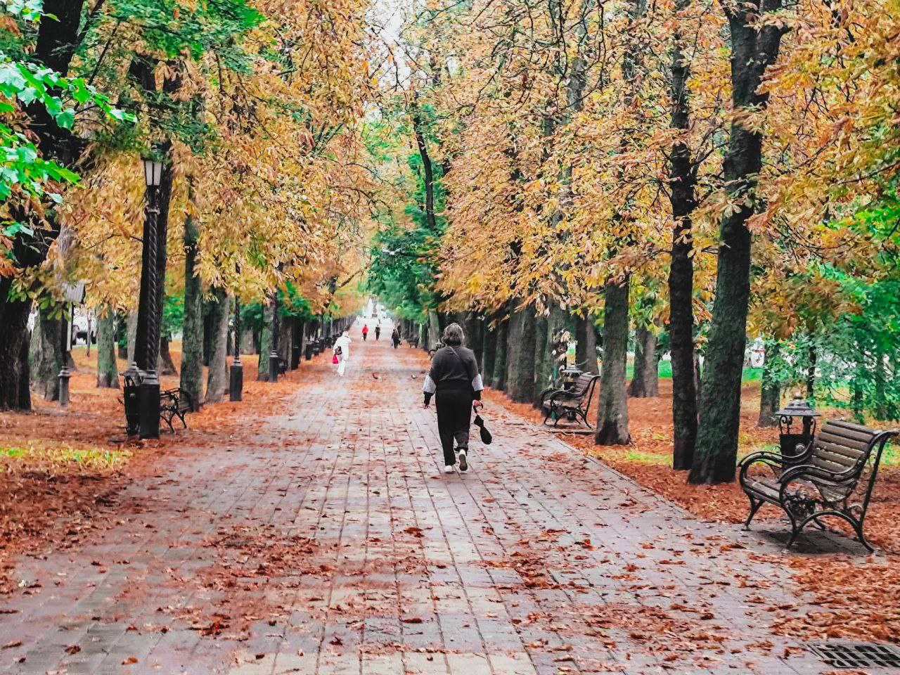 Осень пришла в Ставрополь🍂🍁
📍 проспект Карла Маркса
📸 artphoto26rus | Сетка — социальная сеть от hh.ru