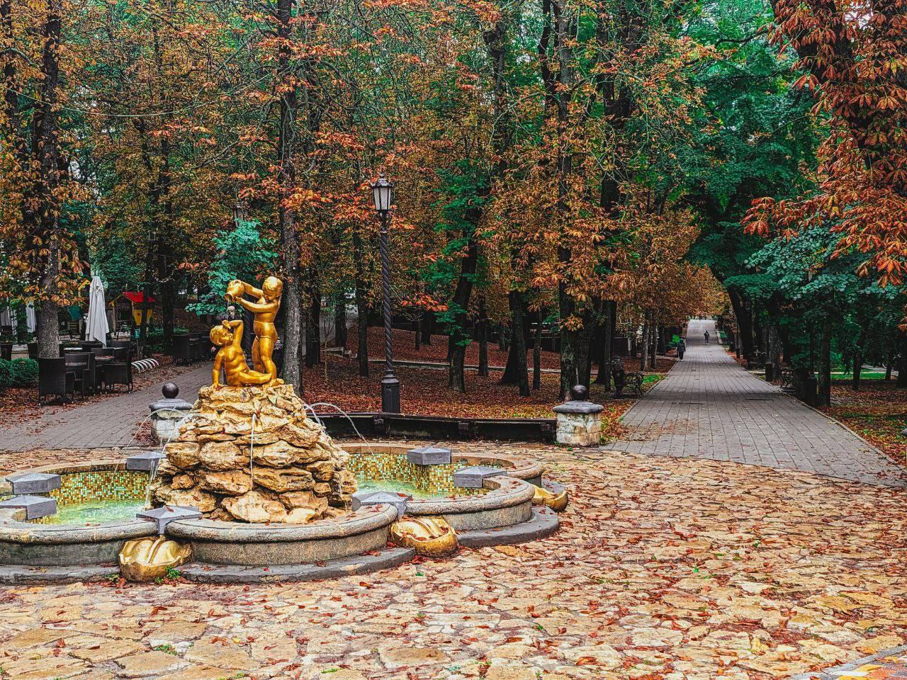 Осень пришла в Ставрополь🍂🍁
📍 проспект Карла Маркса
📸 artphoto26rus | Сетка — социальная сеть от hh.ru