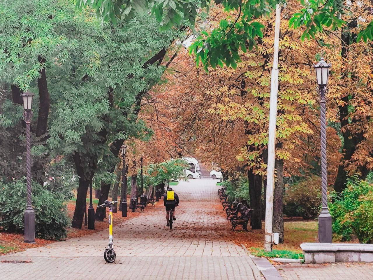 Осень пришла в Ставрополь🍂🍁
📍 проспект Карла Маркса
📸 artphoto26rus | Сетка — социальная сеть от hh.ru