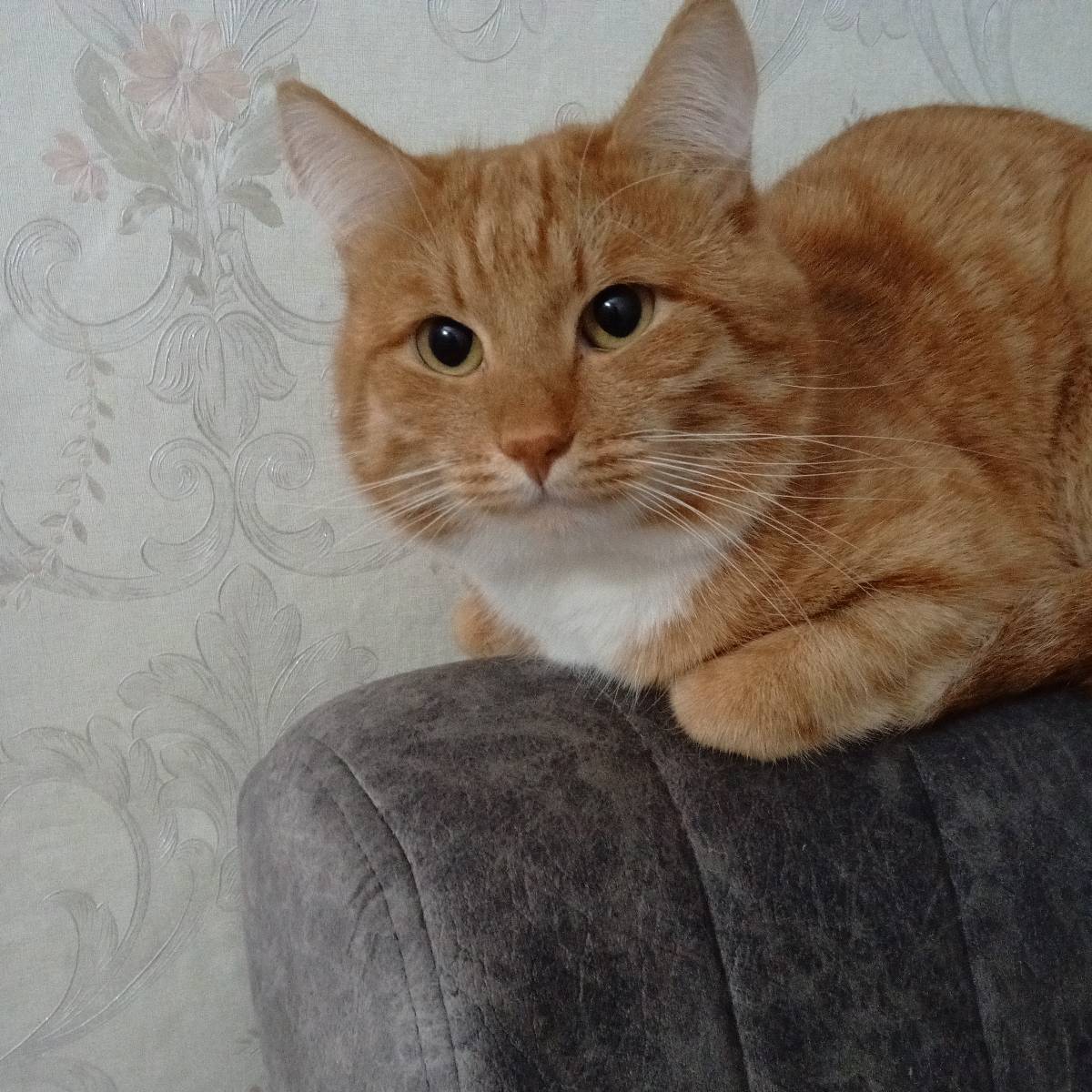 Марина Ярышкина