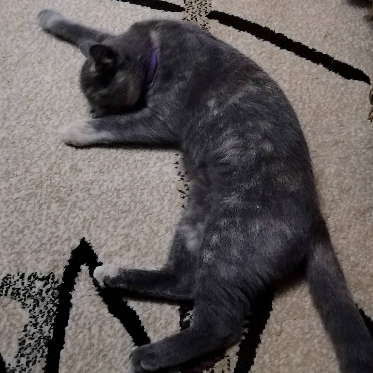 Глеб Ивакин | Сетка — социальная сеть от hh.ru