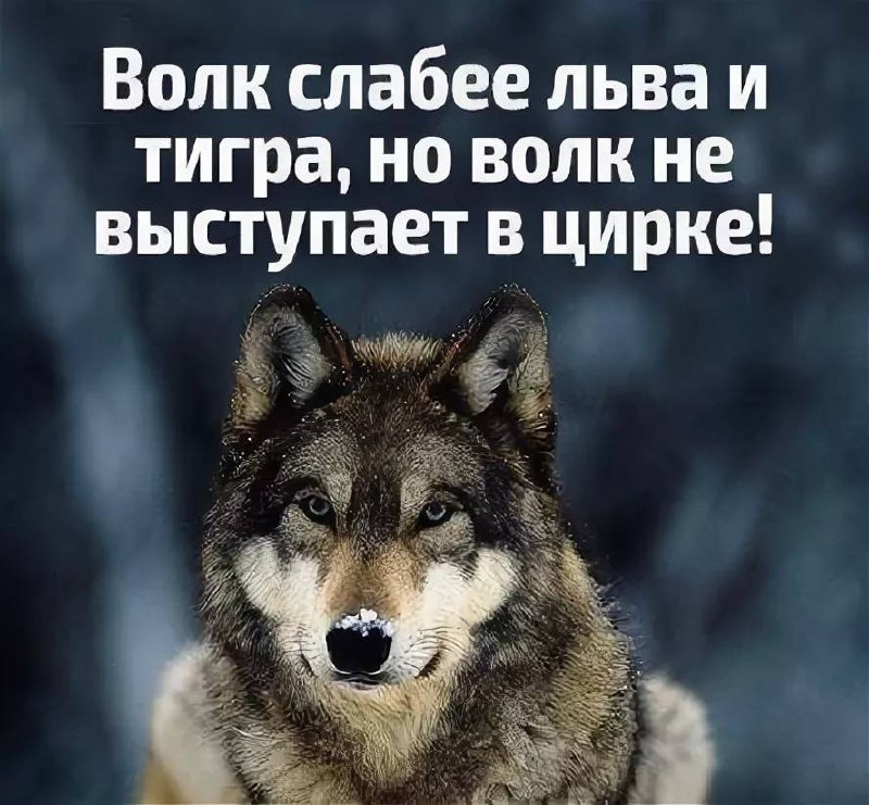 У меня для вас плохие новости | Сетка — социальная сеть от hh.ru