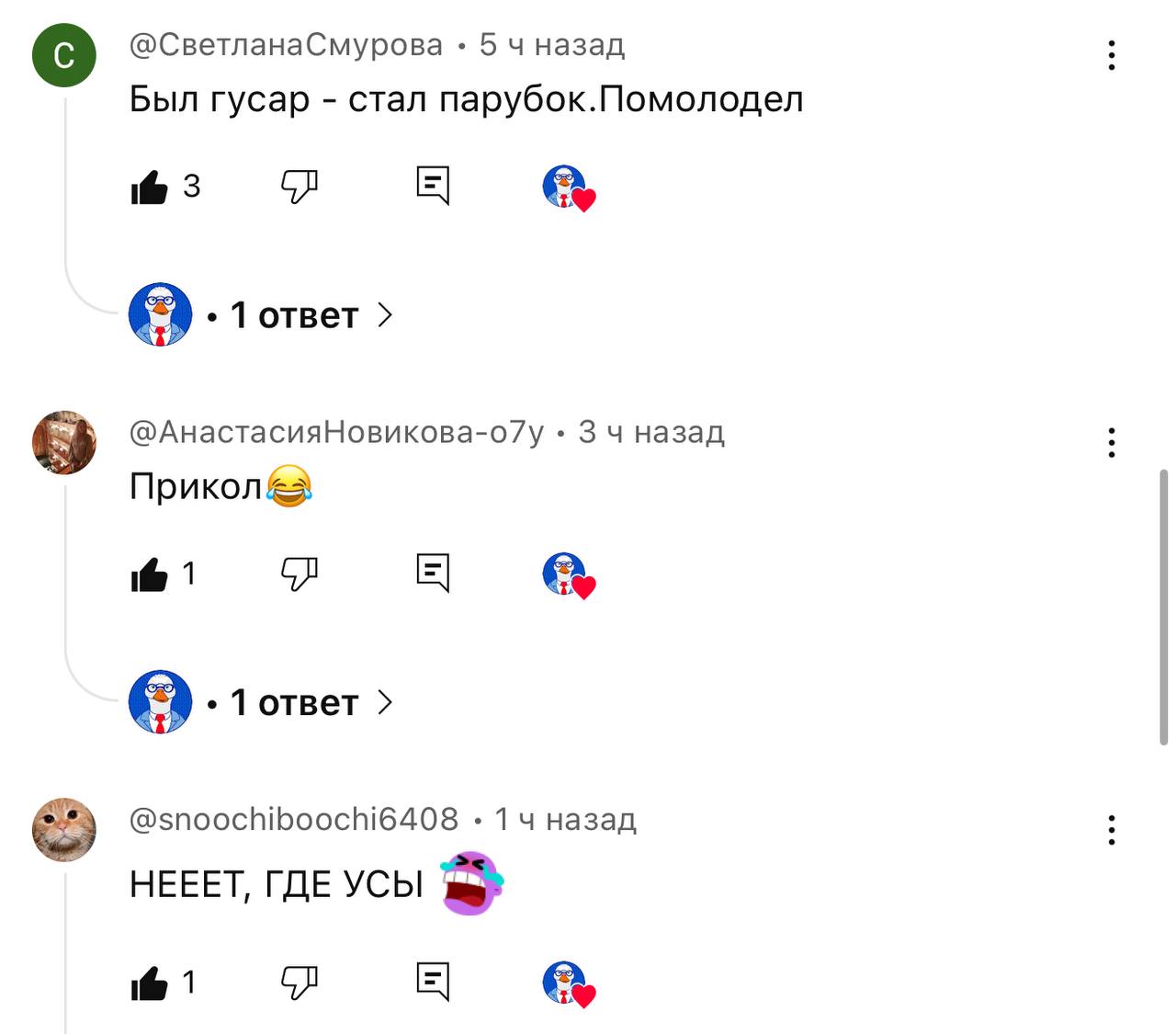 Вы вообще смотрите мои обзоры или чисто на усы приходите посмотреть?! | Сетка — социальная сеть от hh.ru