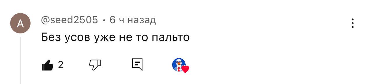 Вы вообще смотрите мои обзоры или чисто на усы приходите посмотреть?! | Сетка — социальная сеть от hh.ru