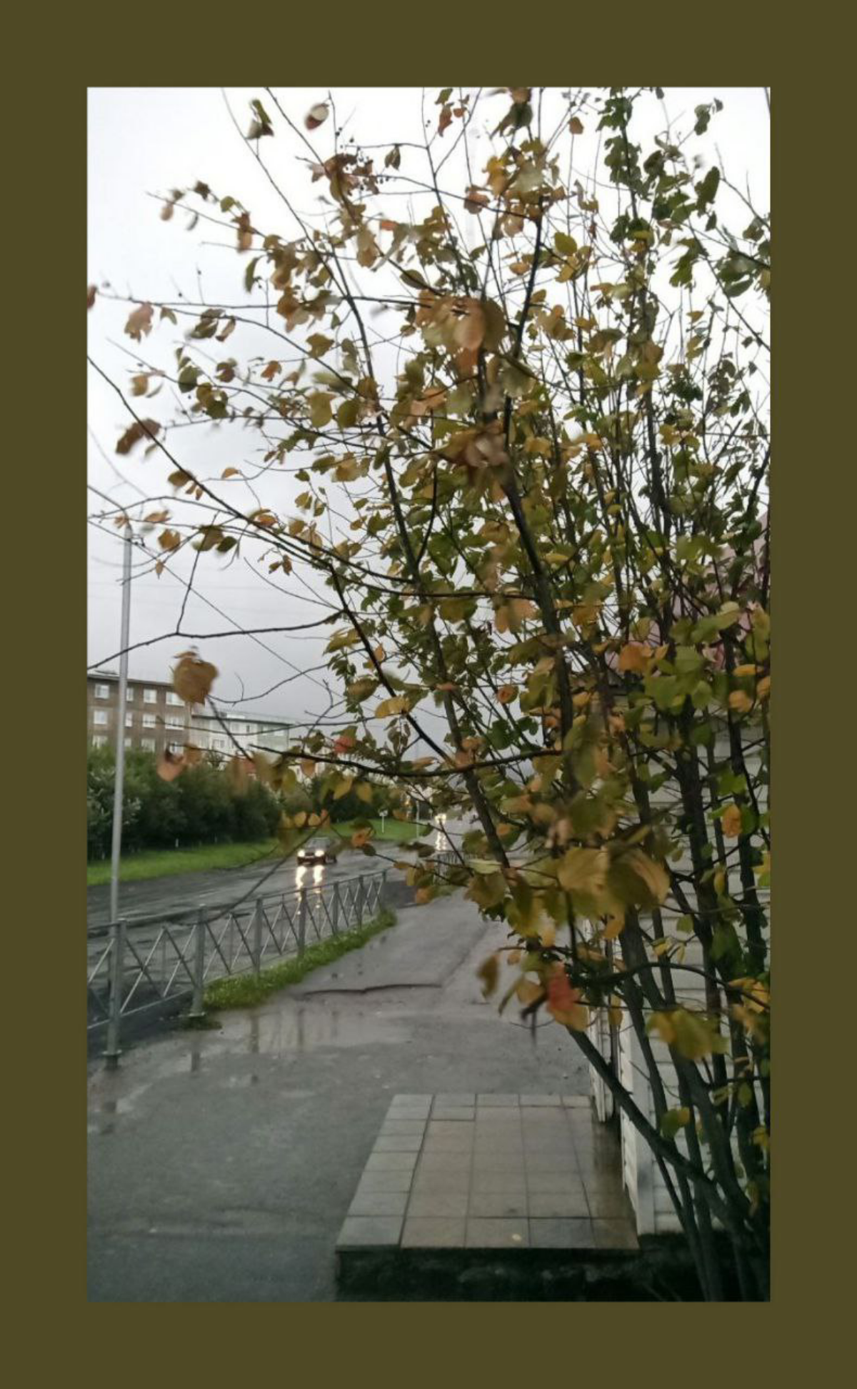 Не эта Осень. / Not this Fall. | Сетка — социальная сеть от hh.ru