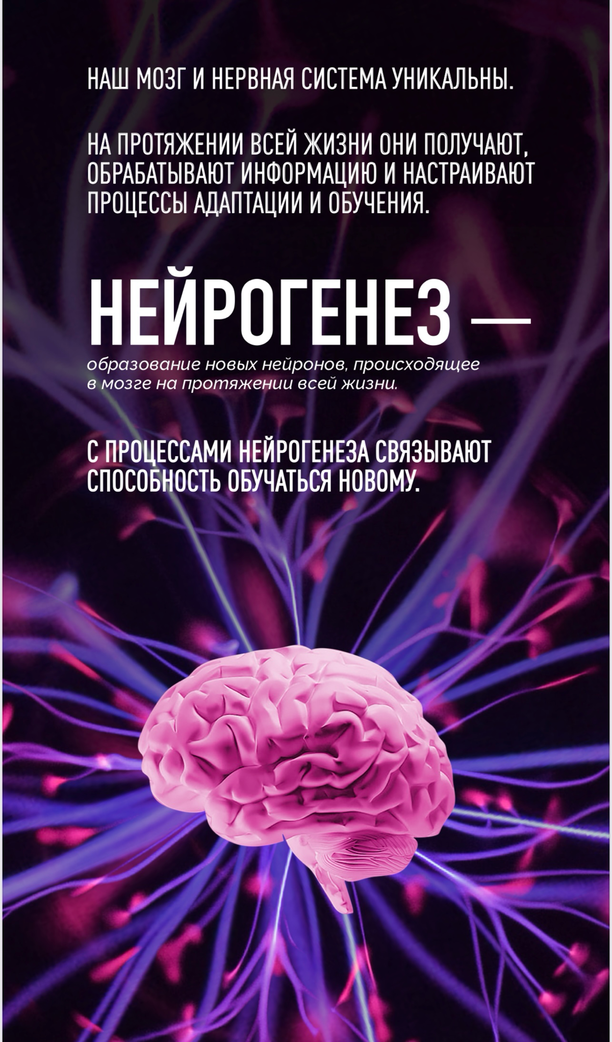 Продукты которые меняют реальность🧠 | Сетка — социальная сеть от hh.ru
