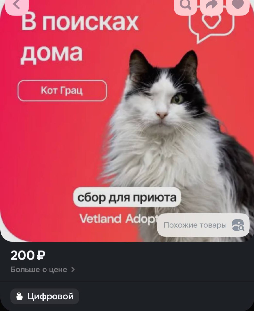 День 14
Делиться сегодня ничем не хочется. Донат улетел котику Грацу | Сетка — социальная сеть от hh.ru