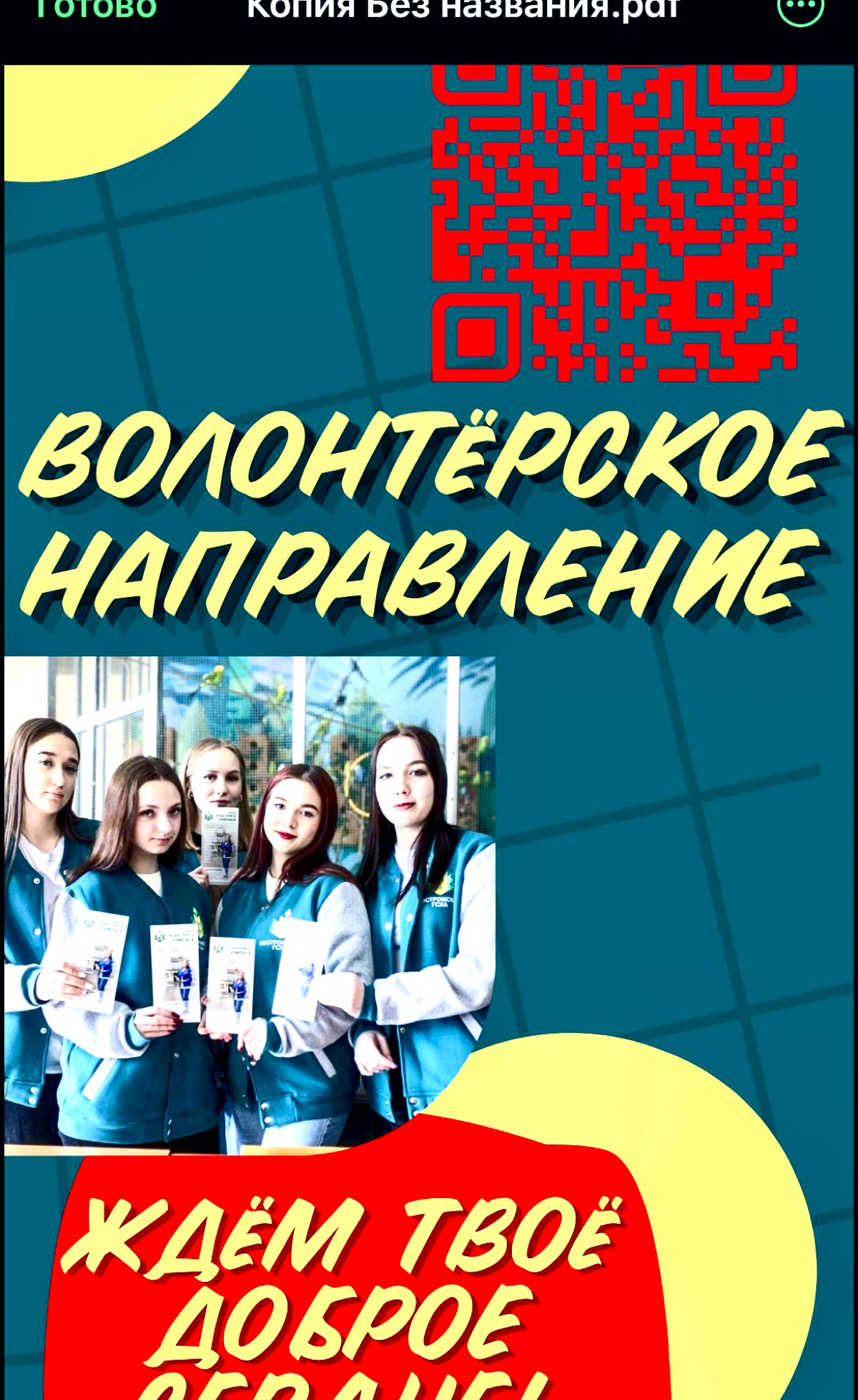 Случай с карточками | Сетка — социальная сеть от hh.ru