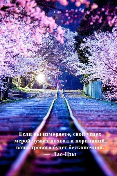 Всем бодрого | Сетка — социальная сеть от hh.ru