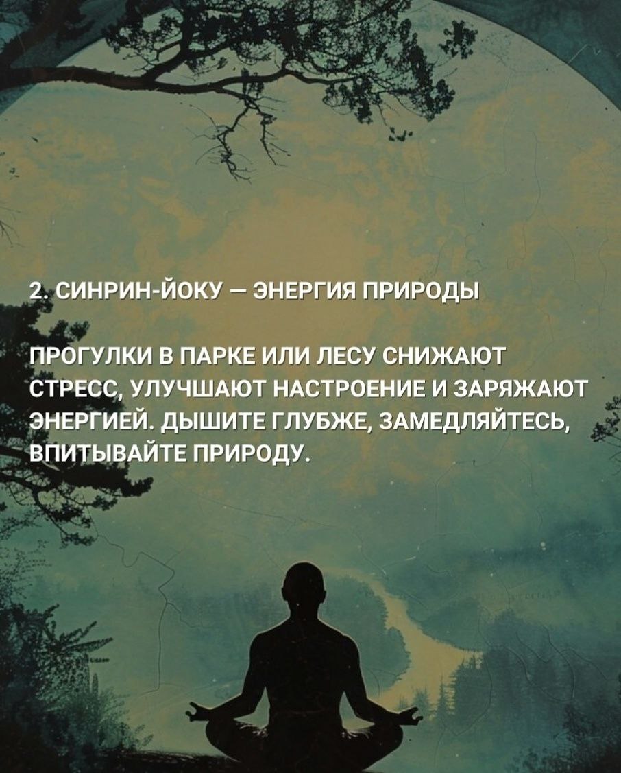 7 жизненных принципов японцев
Только вдумайтесь в эти принципы: каждый шаг - как целая маленькая философия для лучшей жизни и выбора верного пути 🪶 | Сетка — социальная сеть от hh.ru