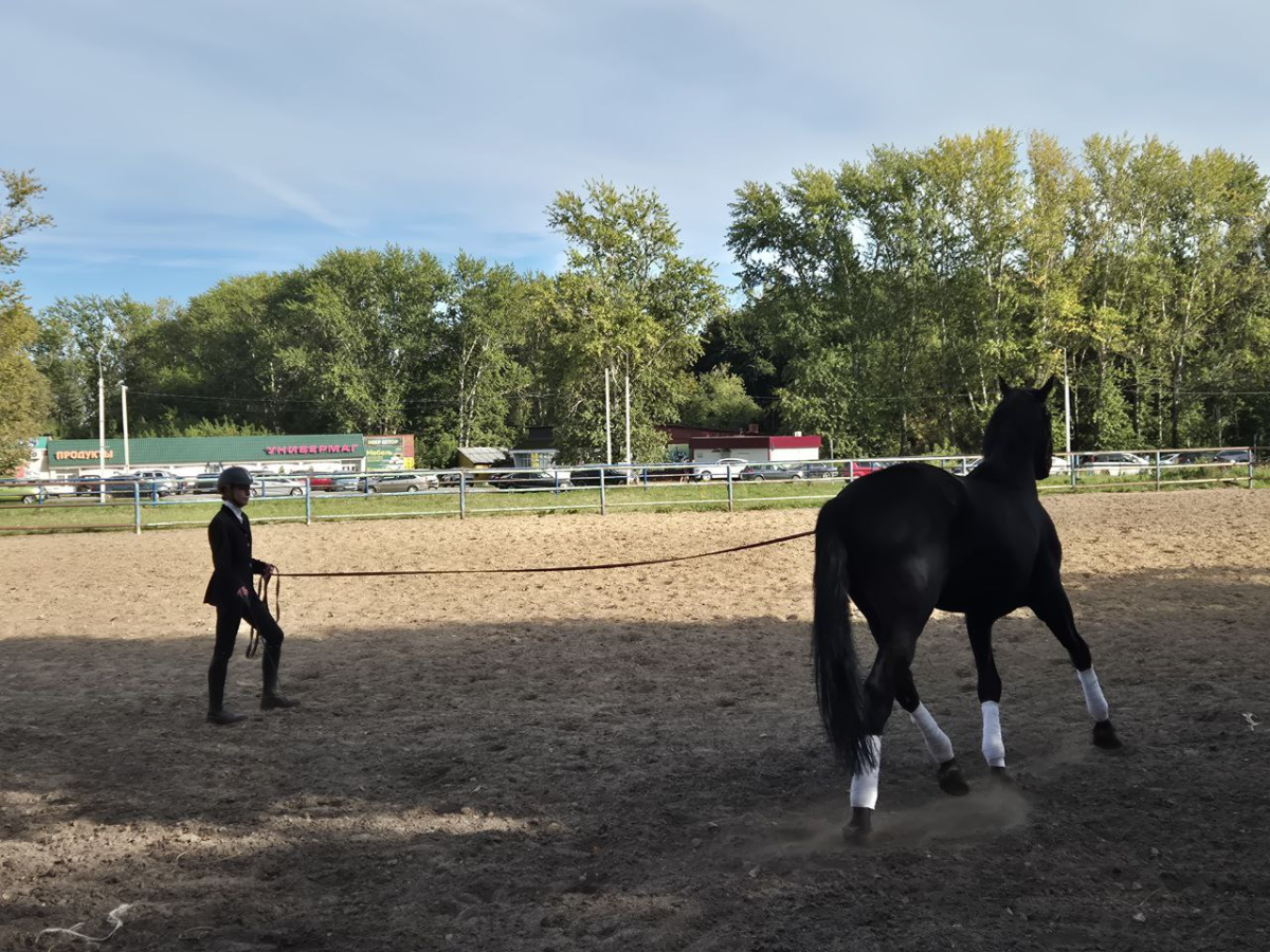 Ещё один умирающий объект культурного наследия. | Сетка — социальная сеть от hh.ru